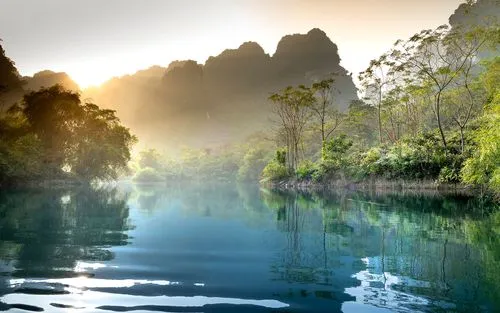 智能智能